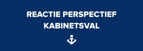 Reactie kabinetsval